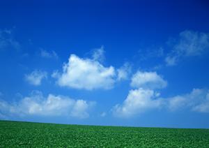 地方にあるお墓が気がかりな人におすすめ