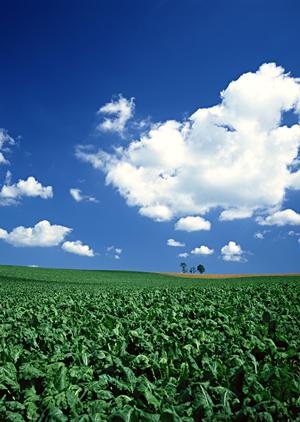 静岡市清水区の家族葬専門斎場｜安全・安心の「家族葬のタクセル北矢部町」完全ガイド