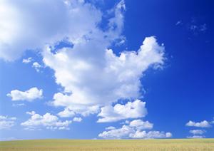 静岡県富士宮市の家族葬に最適な斎場｜家族葬のタクセル宮原の特徴とサービス内容