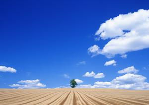 静岡県焼津市の家族葬に最適な富士葬祭焼津中央の全て：特徴・料金・アクセスガイド